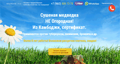 Desktop Screenshot of medvedka.asia